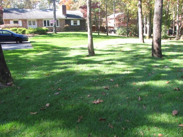 This album shows some photos of the lawns we treat in your area.